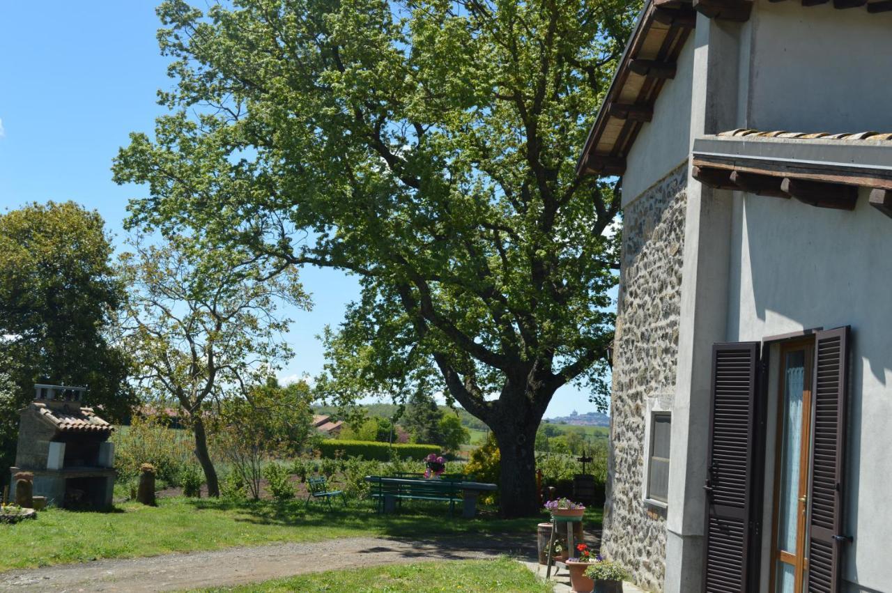 La Casa Del Nonno Bed & Breakfast Bagnoregio Exterior photo