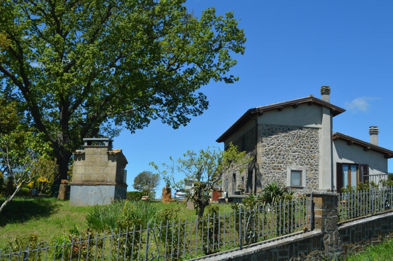 La Casa Del Nonno Bed & Breakfast Bagnoregio Exterior photo