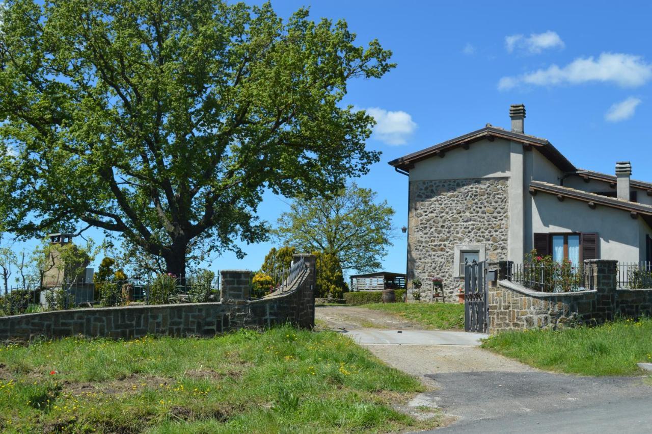 La Casa Del Nonno Bed & Breakfast Bagnoregio Exterior photo